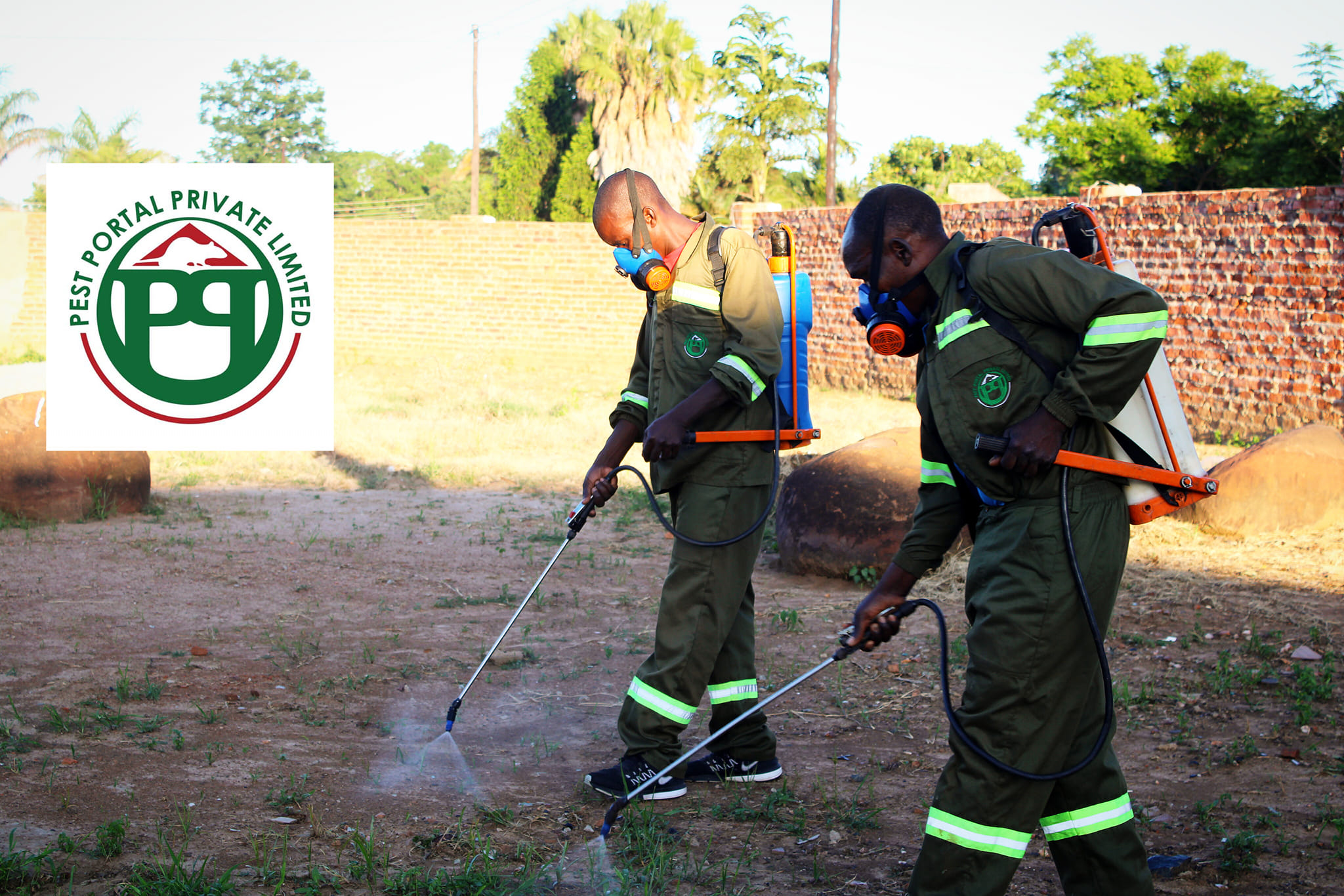 pest control harare